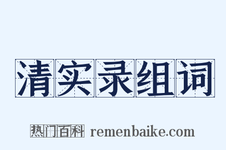 清实录组词是什么意思的图片